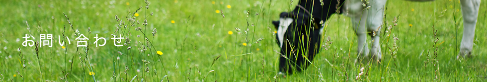 HALC＿お問い合わせ