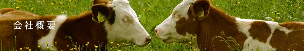 株式会社家畜健康管理HALC_会社概要